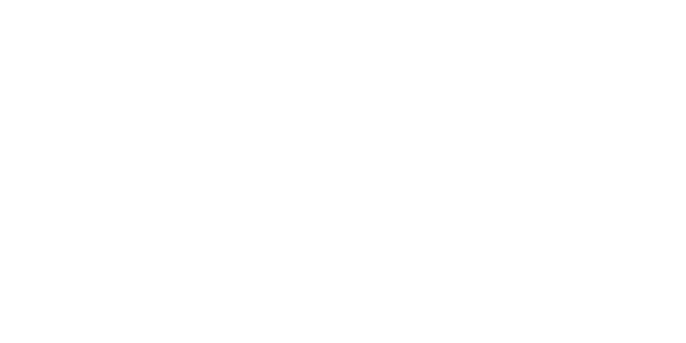 Chick'N Co